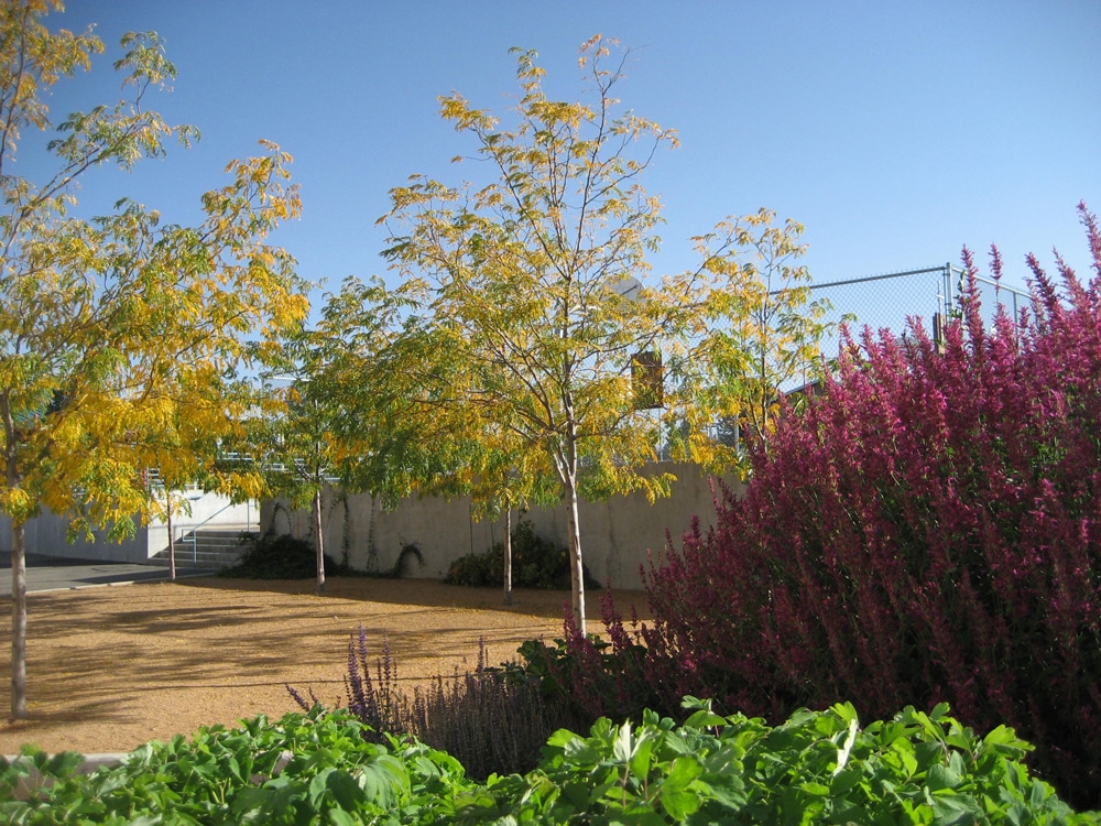Fall colors