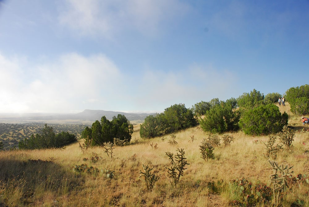 native meadows at Thornton Ranch
