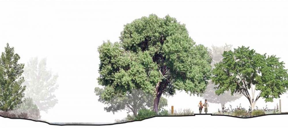 Acequia Trail / urban trail section