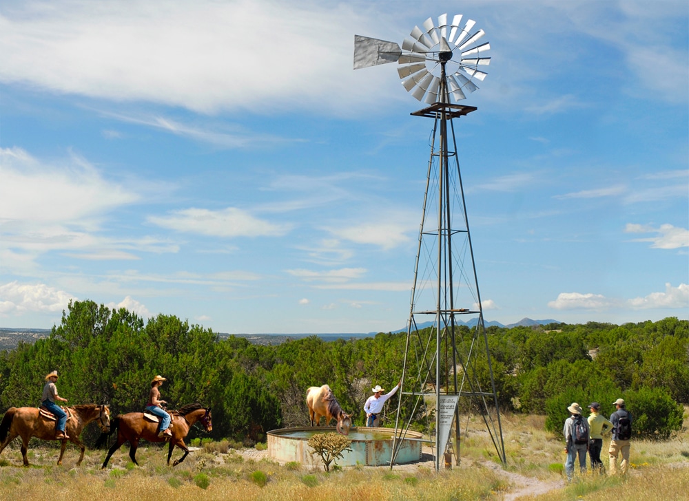 Equestrian trail node