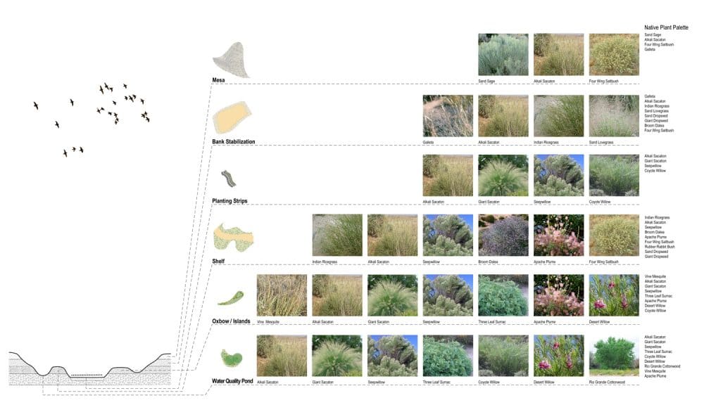 Restoration plant list