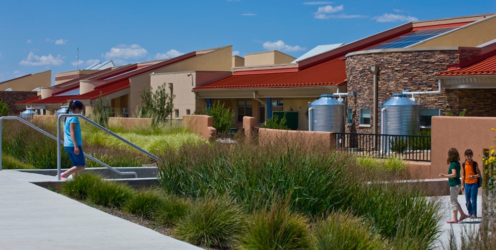 Rainwater harvesting and ornamental grasses