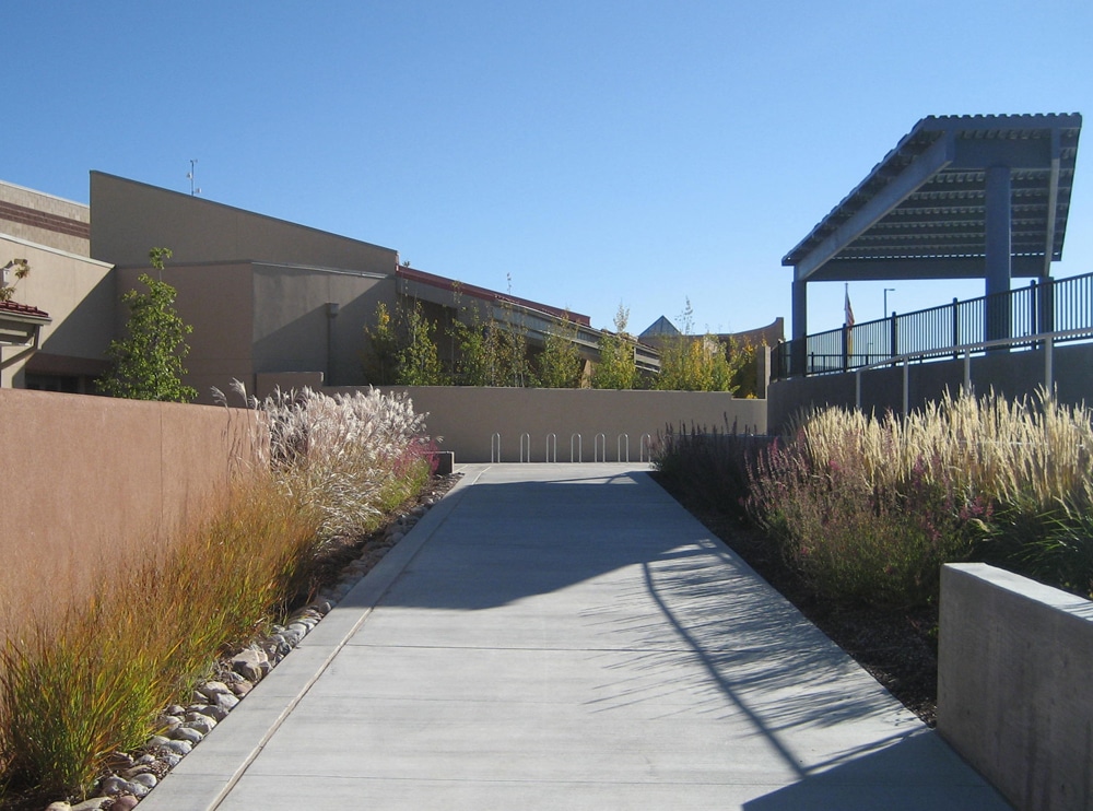 Ornamental grasses play a key role in seasonal interested