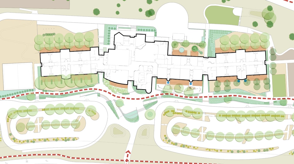 landscape plan